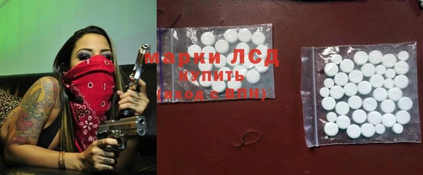 соль ск Козельск