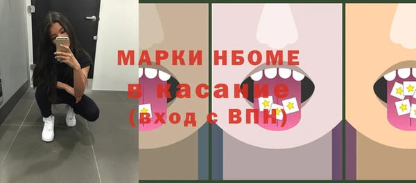 соль ск Козельск