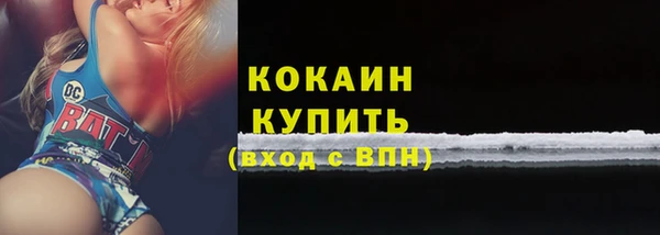 шишки Козловка