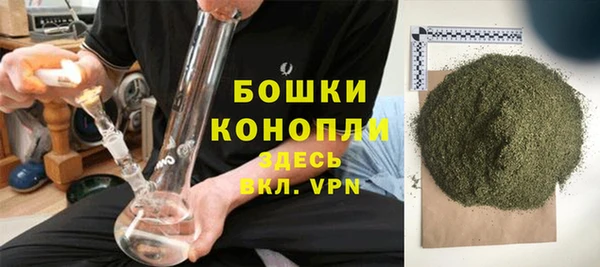 шишки Козловка