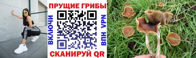 Галлюциногенные грибы мухоморы  Кремёнки 